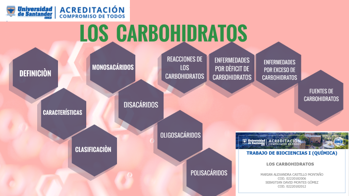 Carbohidratos By Celeida Montaño On Prezi 9042