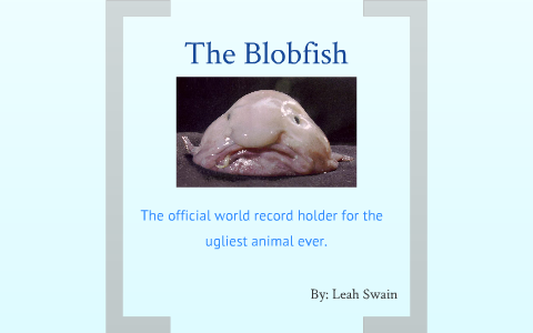 Weird blobfish! - MindStick YourViews