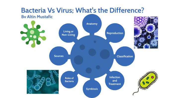 Bacteria Vs Virus; What's the Difference? by Altin Mustafic