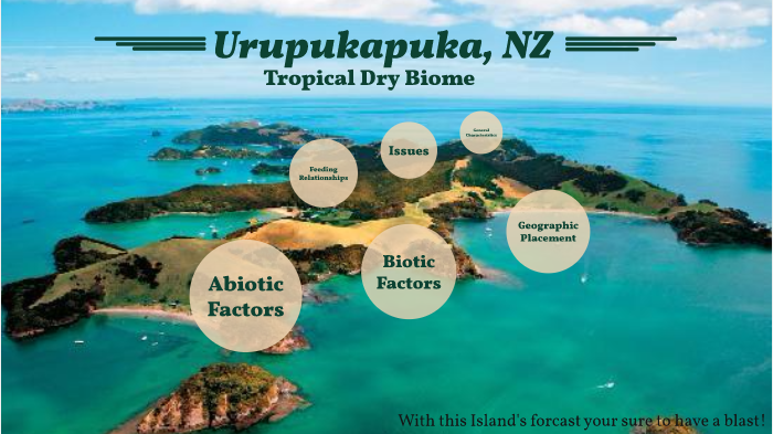 Urupukapuka Island By Kodi Inman On Prezi Next