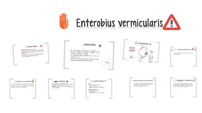 enterobius vermicularis huesped