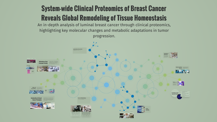 System-wide Clinical Proteomics of Breast Cancer Reveals Global ...