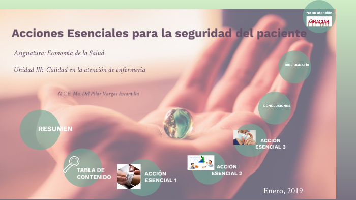 Acciones Esenciales para la Salud by Ma. del Pilatr Vargas Escamilla