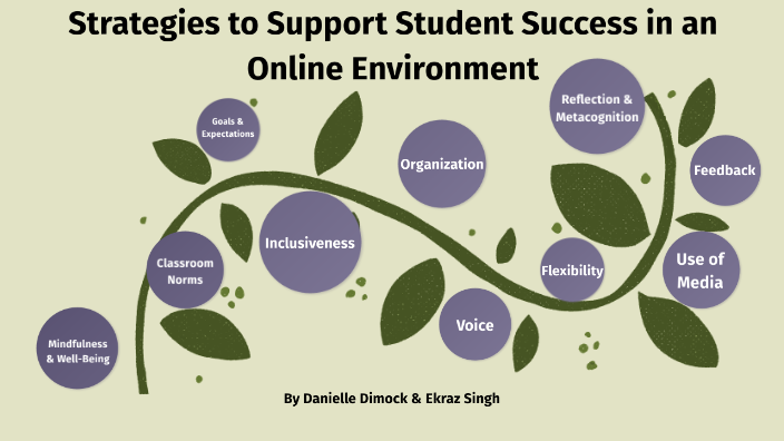 Strategies to Support Student Success in an Online Environment by Ekraz ...