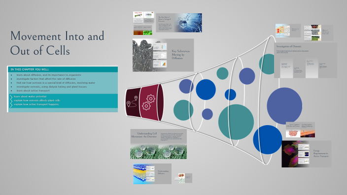 Movement Into and Out of Cells by Putri apriani Pasaribu on Prezi