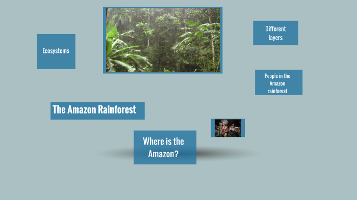 The Amazon Rainforest by Jonas van de Poel on Prezi