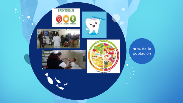 Sistema Nacional De Salud By Blanch Reyna On Prezi