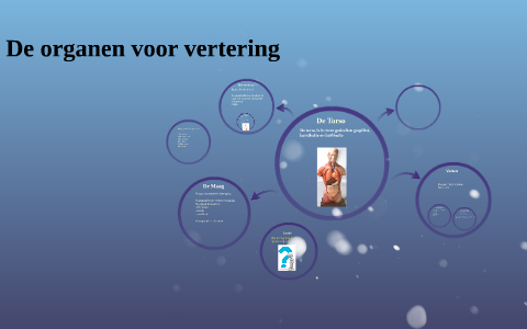 De Organen Voor Vertering By Lars De Bie On Prezi