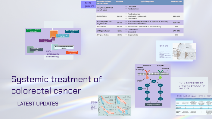 Recent advances in systemic treatment of Colorectal Cancer by Soudeh ...