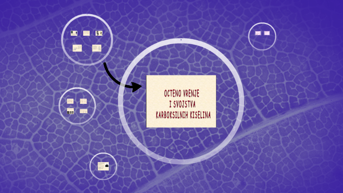 Octeno Vrenje By Katarina Brdar