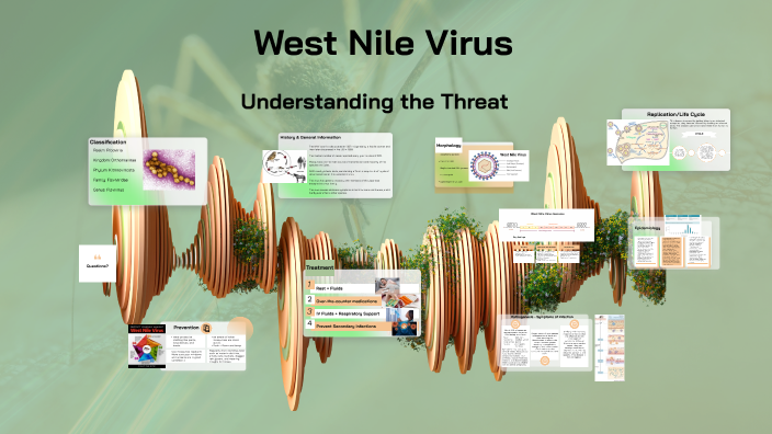 West Nile River Virus by Makenzie Staheli on Prezi