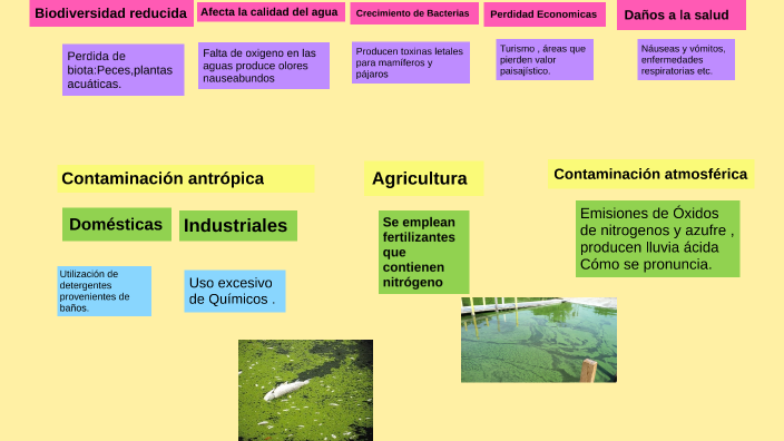 ARBOL DE PROBLEMAS by Yuly Huanca on Prezi