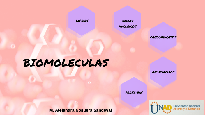 Generalidades De Las Biomoléculas by maría alejandra noguera sandoval ...