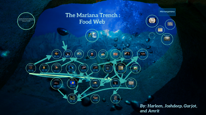 The Mariana Trench by Jusleen Mehta