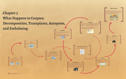 What Happens to Corpses: Decomposition, Transplants, Autopsi by ...