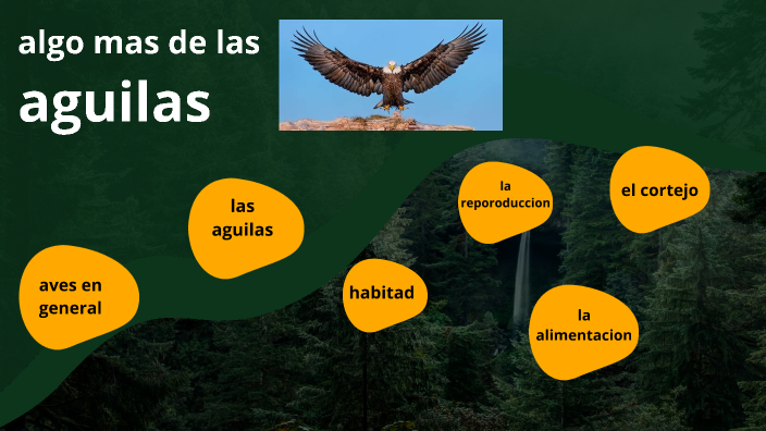 algo mas de las aves by santino luncio on Prezi Next