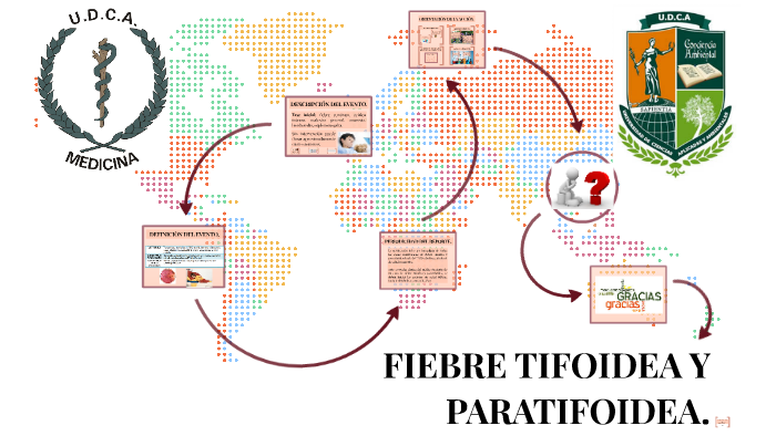 FIEBRE TIFOIDEA Y PARATIFOIDEA. By Franca Morales On Prezi