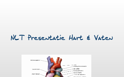 NLT Presentatie Hart & Vaten by Rick Veenstra on Prezi