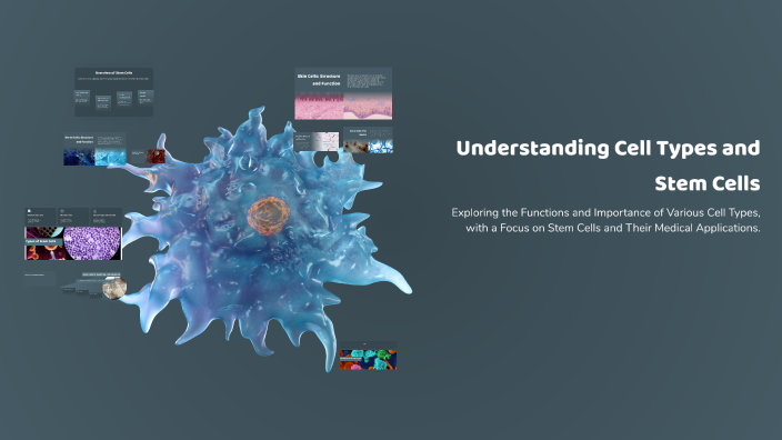 Understanding Cell Types and Stem Cells by Kimberly Arizmendi [STUDENT ...