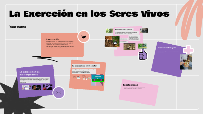 La Excreción en los Seres Vivos by Wilfredo Gallardo Contreras on Prezi