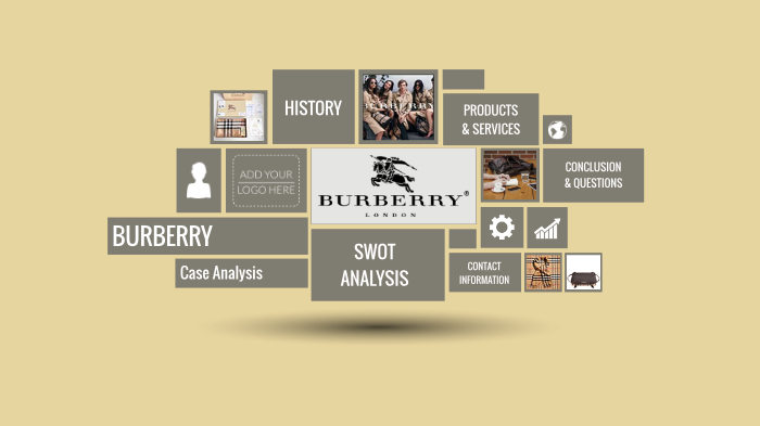 Burberry Case Analysis by Pamela Sanchez-Hernandez on Prezi Next