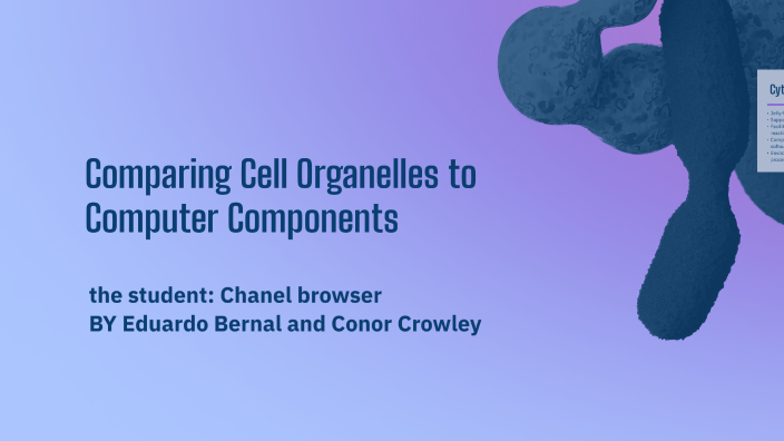 Organelle Computer Cell Analogy: Comparing Cell Organelles to Computer Components by ...