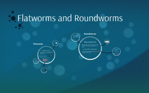 flatworms and roundworms homework assignment 1