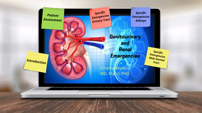 Genitourinary and Renal Emergencies_2024 by Nayla Cristina do Vale ...