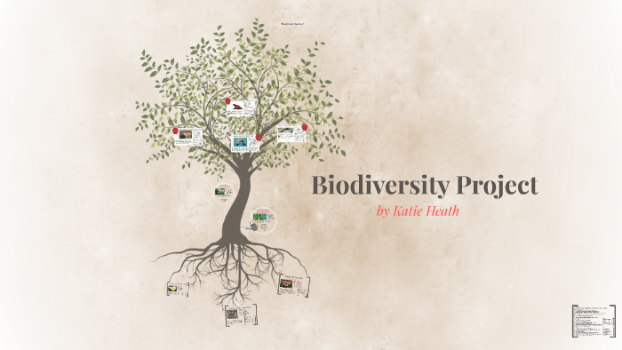 Biodiversity Project by Lord Bidoof on Prezi