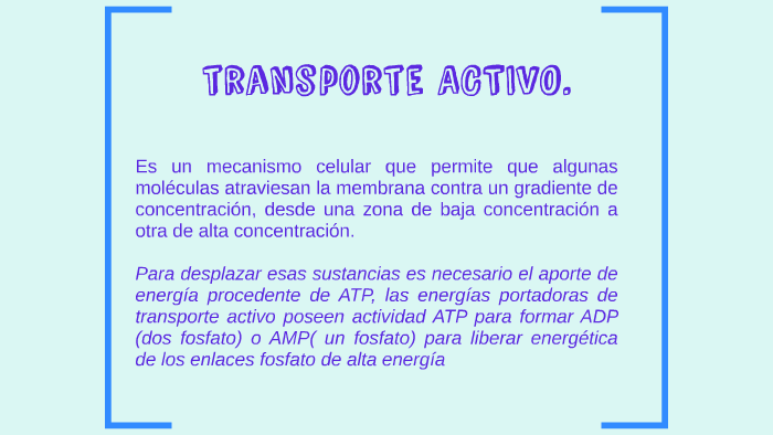 TRANSPORTE ACTIVO. by luisa moreno cuesta on Prezi