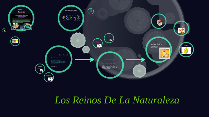 Los Reinos De La Naturaleza by hassell gonzalez on Prezi
