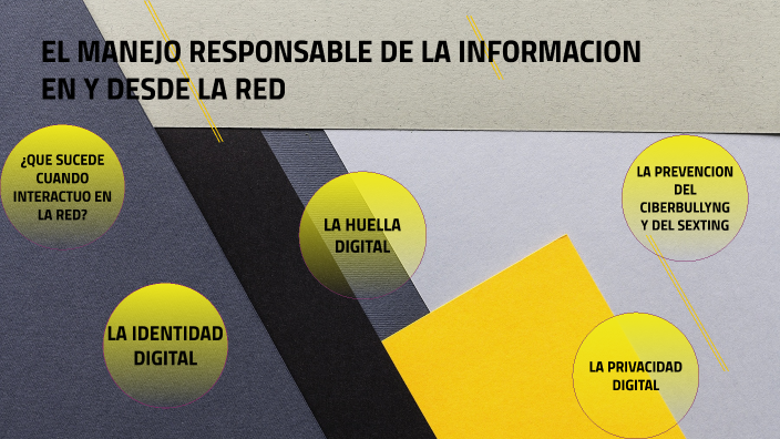 Manejo Responsable De La Informacion En La Red