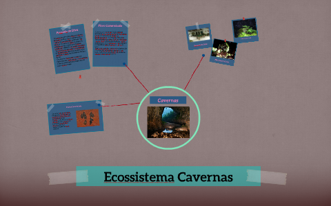 Ecossistema Cavernas by Gabriela Munhos on Prezi