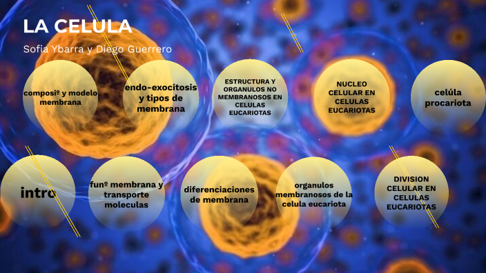 la célula Sofia y Diego modulos by Sofia Ybarra on Prezi
