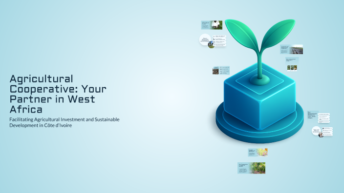 Agricultural Cooperative: Your Partner in West Africa by RAPHAEL ...