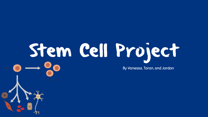 Stem Cell Project By Vanessa Penaloza On Prezi 3905