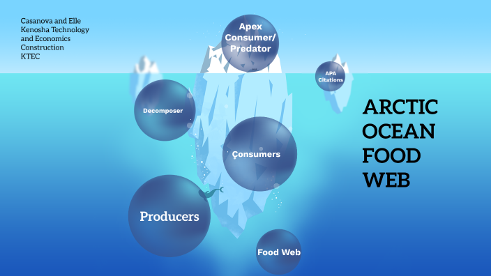 Arctic Ocean Food Web By Casanova Carmer On Prezi   6n7zwtbriamcf3n72amvlfnxcl6jc3sachvcdoaizecfr3dnitcq 3 0 