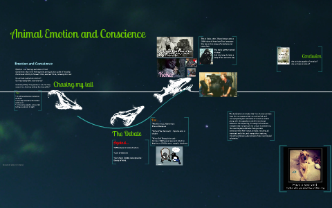 Animal emotion, conscience and consioussness by jason williams on Prezi