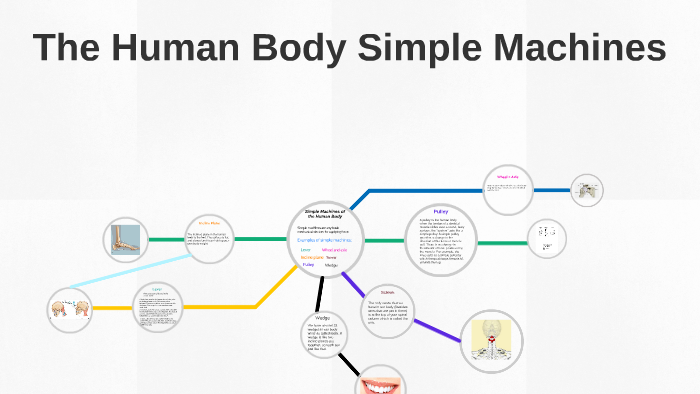 The human body is a machine