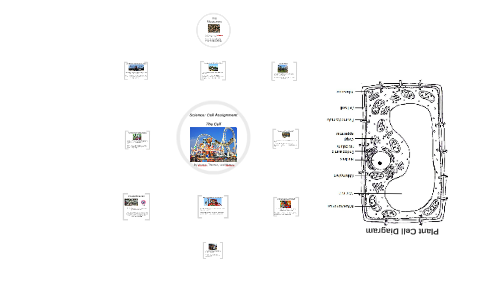 Prokaryotic cells vs eukaryotic cells by amoeba sisters free student handout image