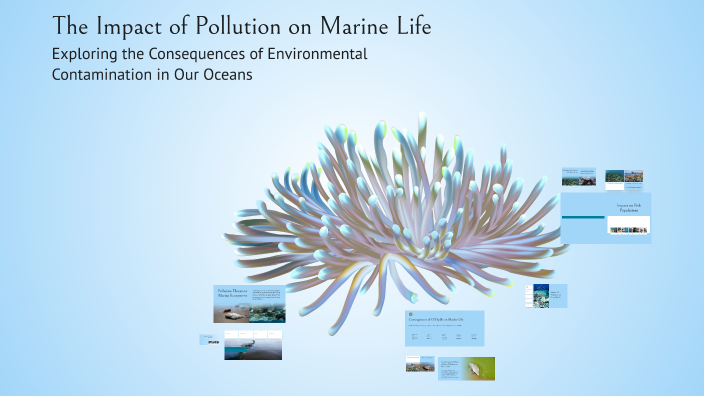 The Impact of Pollution on Marine Life by Kambaiz Amire on Prezi