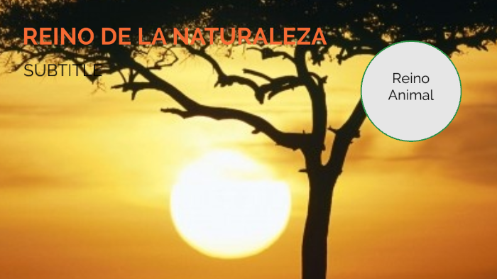 reinos de la naturaleza by MARIA FERNANDA SOTO VASQUEZ on Prezi