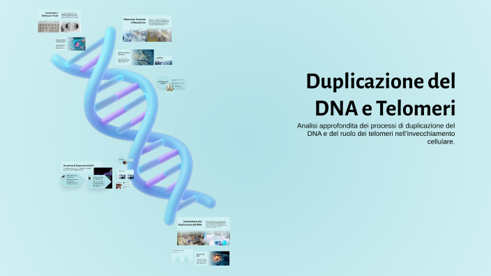 Duplicazione del DNA e Telomeri by Manuel Cardamone on Prezi