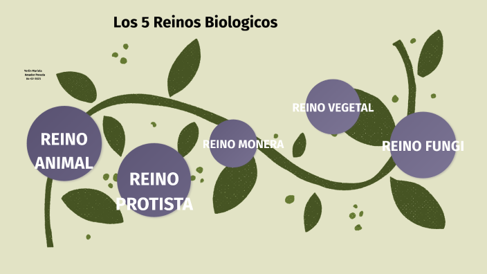 Los 5 Reinos Biológicos by Mary amador on Prezi