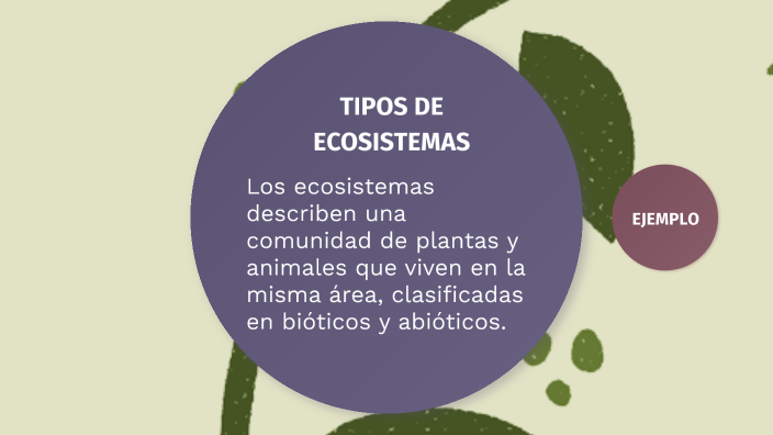 Tipos De Ecosistemas By Andrea Cardona Sierra On Prezi 2974