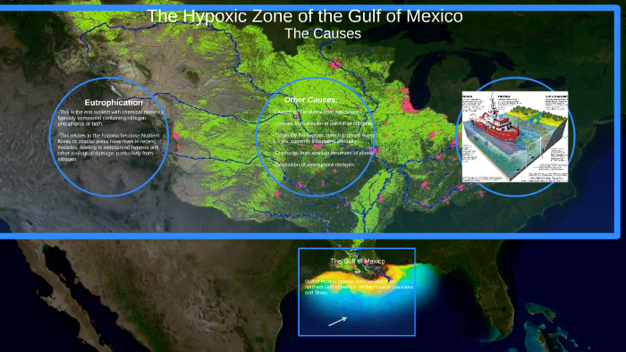 The Hypoxic Zone of the Gulf of Mexico by Ben Dover