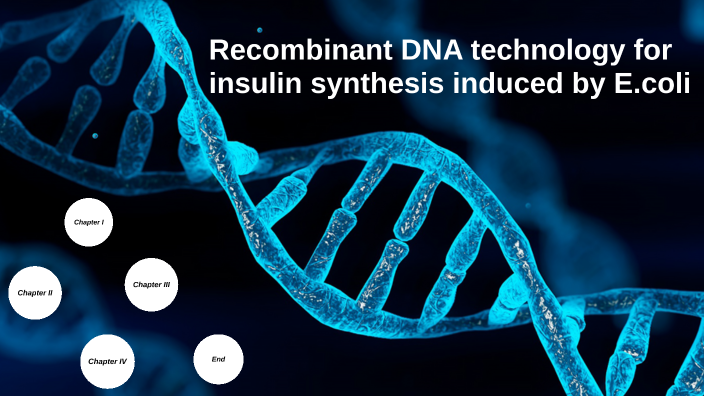 insulin production by Jody Bader on Prezi