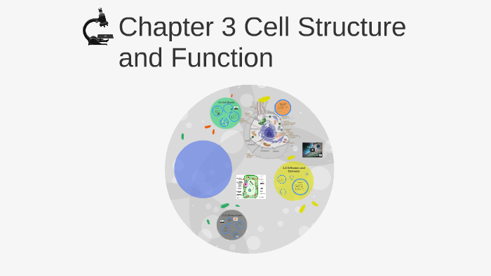 Chapter 3 Cell Structure and Function by Malissa Allie on Prezi