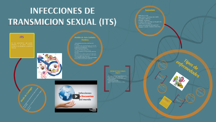 Infecciones De Transmicion Sexual Its By Brenda Perez