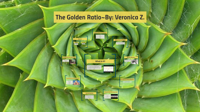 The Golden Ratio by Veronica Zilmer on Prezi